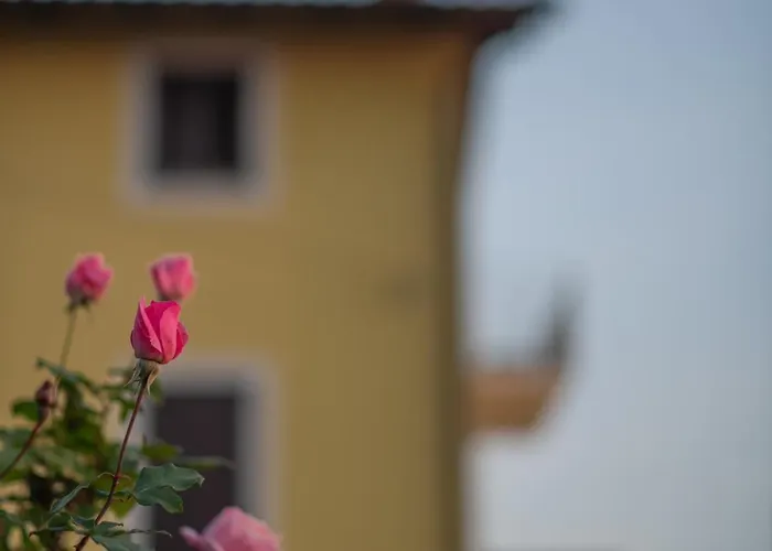 Klaudia Διαμέρισμα *